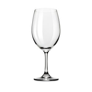 Shatterproof Plastic Wine Glass Against a White Background