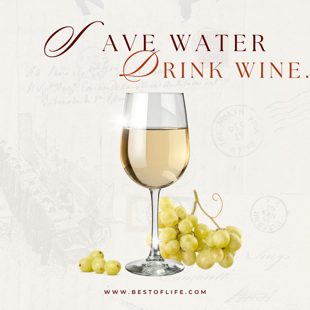 Funny Wine Quotes for Wine Lovers Save water drink wine. 
