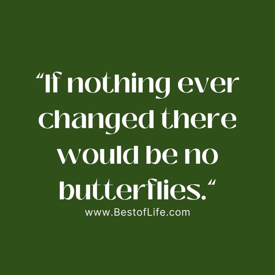 Quotes About Change in Life "If nothing ever changed there would be no butterflies."