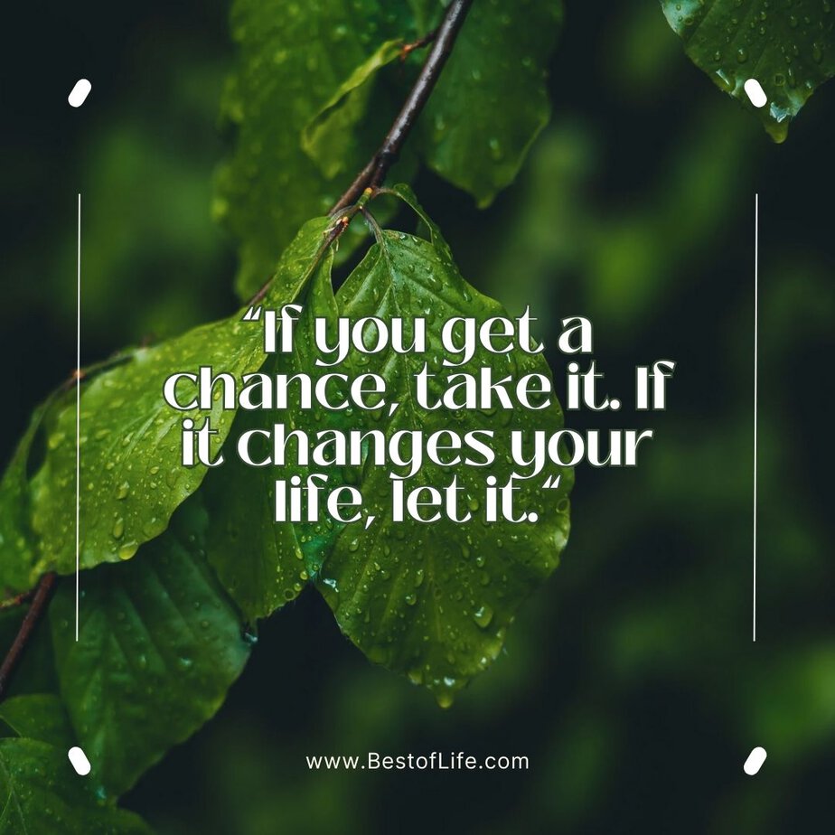 Quotes About Change in Life "If you get a chance, take it. If it changes your life, let it."