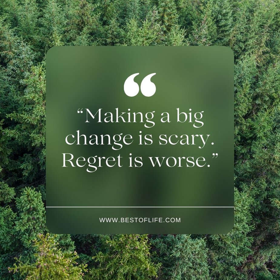 Quotes About Change in Life "Making a big change is scary. Regret is worse."