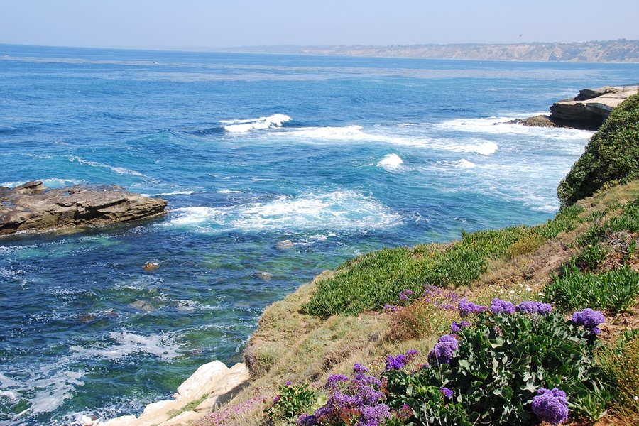 21 Things to do in La Jolla California View of the Ocean from atop a Cliff