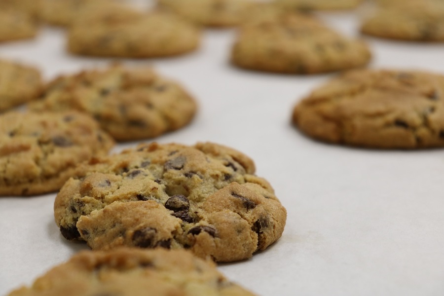 Cookies Cooling Down on Parchment Paper