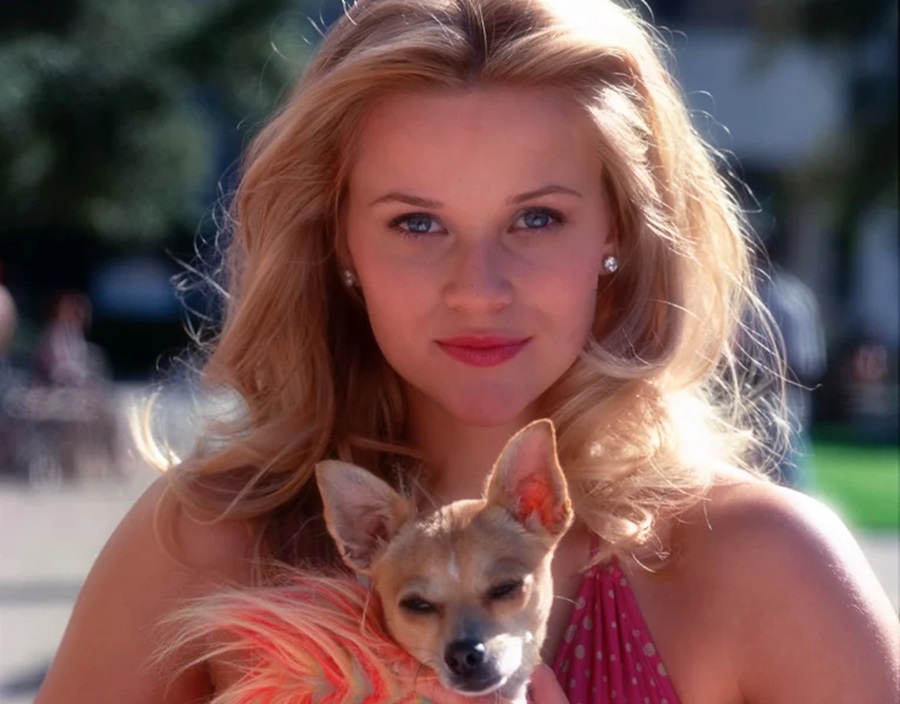 Best Feel Good Movies on Netflix Screen Shot From Legally Blonde with Reese Witherspoon Carrying a Small Dog