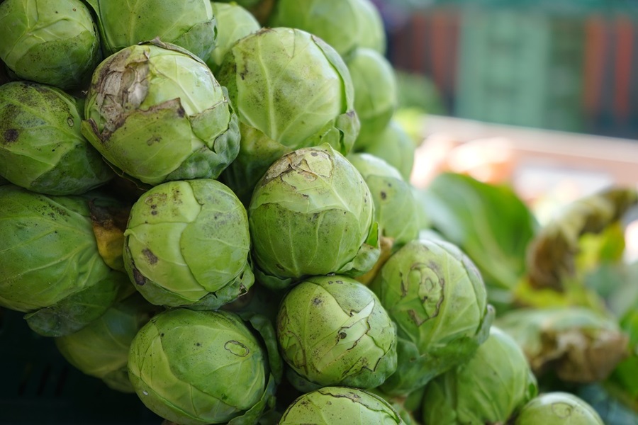 Easy Paleo Recipes for Beginners Close Up of Brussels Sprouts