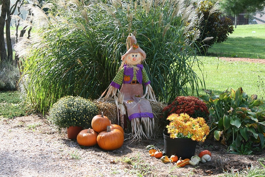 Halloween Decorations a Scarecrow on Grass Sitting Next to a Pile of Pumpkins