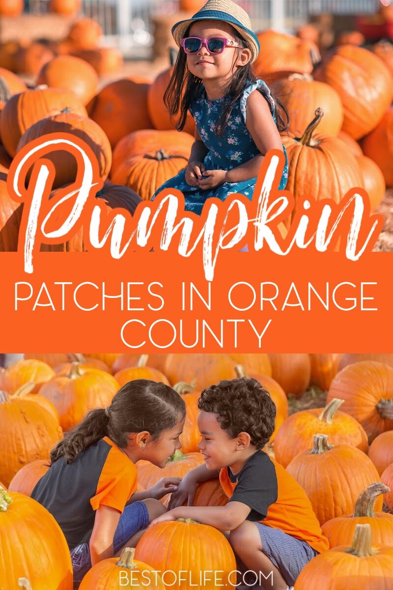 Visit the best pumpkin patches in Orange County for a fun filled day of fall traditions like picking pumpkins, enjoying fall foods, hay rides, and more. Things to do in October in Orange County | October Family Activities | Orange County Pumpkin Patches | Fall Activities | Halloween Activities Orange County | Orange County Halloween | Things to do in Fall #halloween #orangecounty