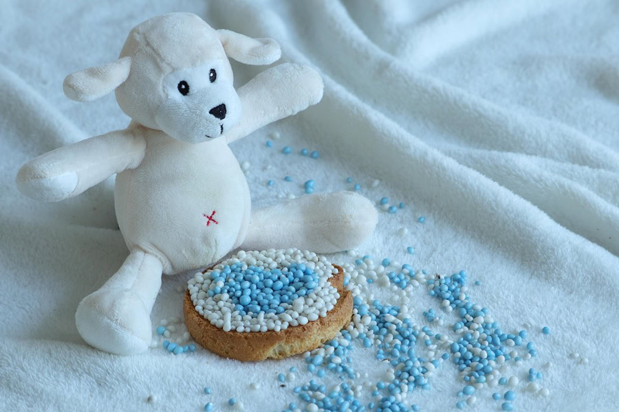 Baby Shower Cakes for Boys A Lamb Doll Sitting Next to a Cookie with White Icing and Blue Sprinkles