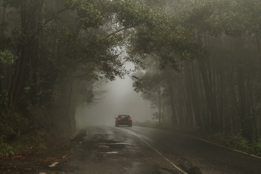 Scary Netflix Movies a Car Driving Through a Woods with Fog