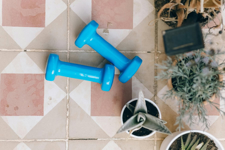 Exercise After 40 Tips to Boost Metabolism Two Small Blue Dumbbells on the Ground Next to Planters with Succulents 