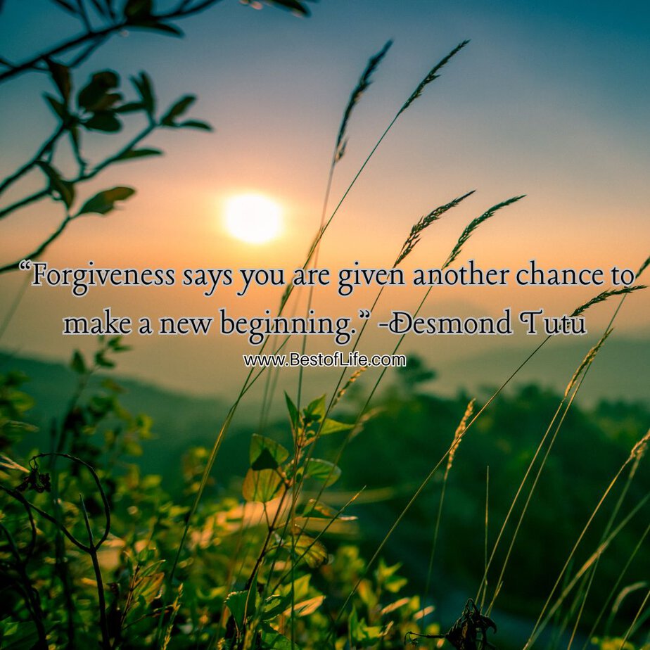Best Quotes About New Beginnings “Forgiveness says you are given another chance to make a new beginning.” -Desmond Tutu