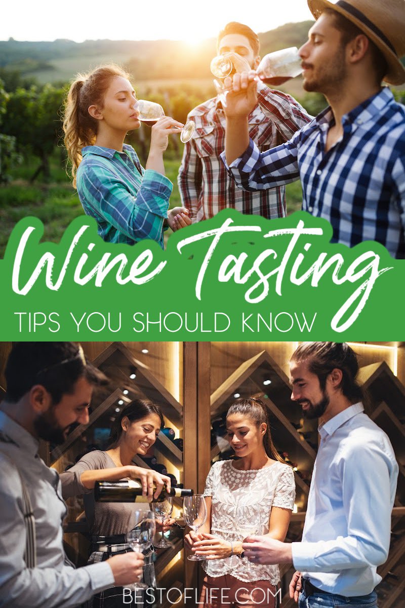 You don't have to be a wine connoisseur to fit in at wine parties and wine tastings. Use these wine tasting tips to look like a pro. Tips for Drinking Wine | How to Drink Wine | Wine Tasting Tips | Tips for Wine Parties | Wine Party Ideas | Hosting a Wine Party | Tips for Wine Lovers #wine #winetasting