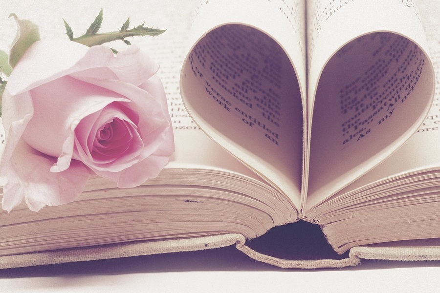 Funny Valentines Quotes Close Up of an Open Book with the Pages Curled In to Make a Heart with a Rose on Top