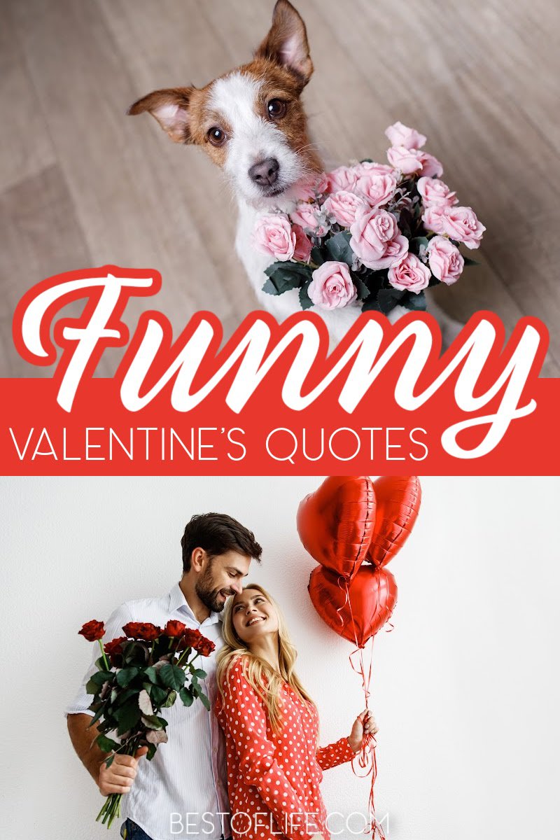 Funny Valentines quotes can help inspire a good laugh while expressing your love on Valentine’s Day. Valentine's Day Quotes | Quotes for Valentine's Day | Valentine's Day Quotes for Cards | Funny Quotes About Love | Funny Quotes for Couples | Quotes for Single People | Valentine's Quotes for Singles #quotes #valentinesday