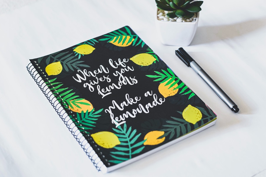 Bullet Journal Setup Ideas and Tips a Black Journal on a Desk Next to a Pen and a Succulent 