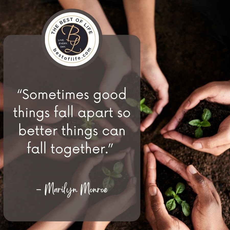 Quotes About New Beginnings After Divorce “Sometimes good things fall apart so better things can fall together.” -Marilyn Monroe