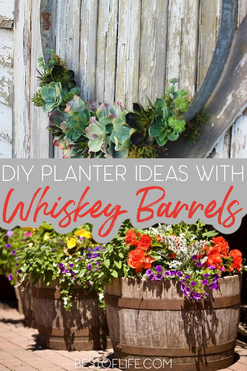 Take your DIY craftiness to a whole new and exciting level with DIY whiskey barrel planter ideas for your front or back yard gardens. Tips for Gardens | Garden Building Tips | DIY Garden Crafts | Crafts for Gardens | DIY Home Decor | DIY Landscape Ideas | Whiskey Barrel Ideas | Whiskey Barrel Gardens #gardenideas #DIY