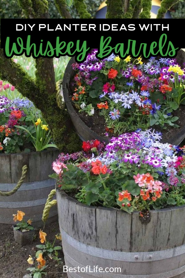 Take your DIY craftiness to a whole new and exciting level with DIY whiskey barrel planter ideas for your front or back yard gardens. Tips for Gardens | Garden Building Tips | DIY Garden Crafts | Crafts for Gardens | DIY Home Decor | DIY Landscape Ideas | Whiskey Barrel Ideas | Whiskey Barrel Gardens #gardenideas #DIY