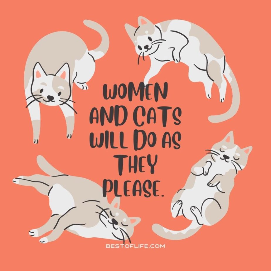Cute Cat Quotes Women and cats will do as they please. 