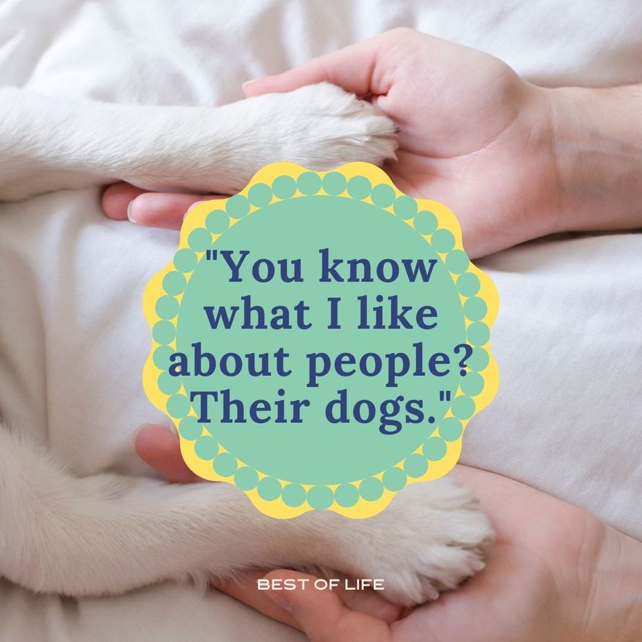 Hilarious Smartass Quotes You know what I like about people? Their dogs.