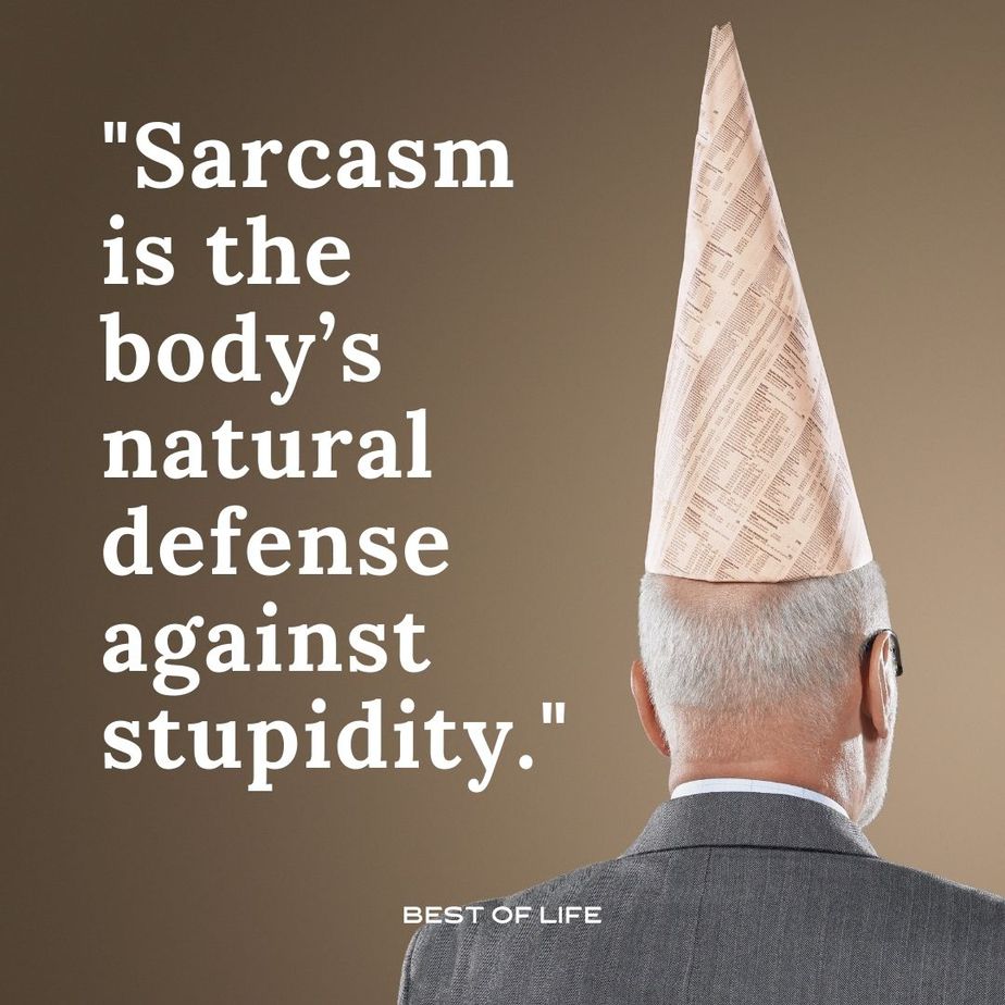 Hilarious Smartass Quotes Sarcasm is the body’s natural defense against stupidity.