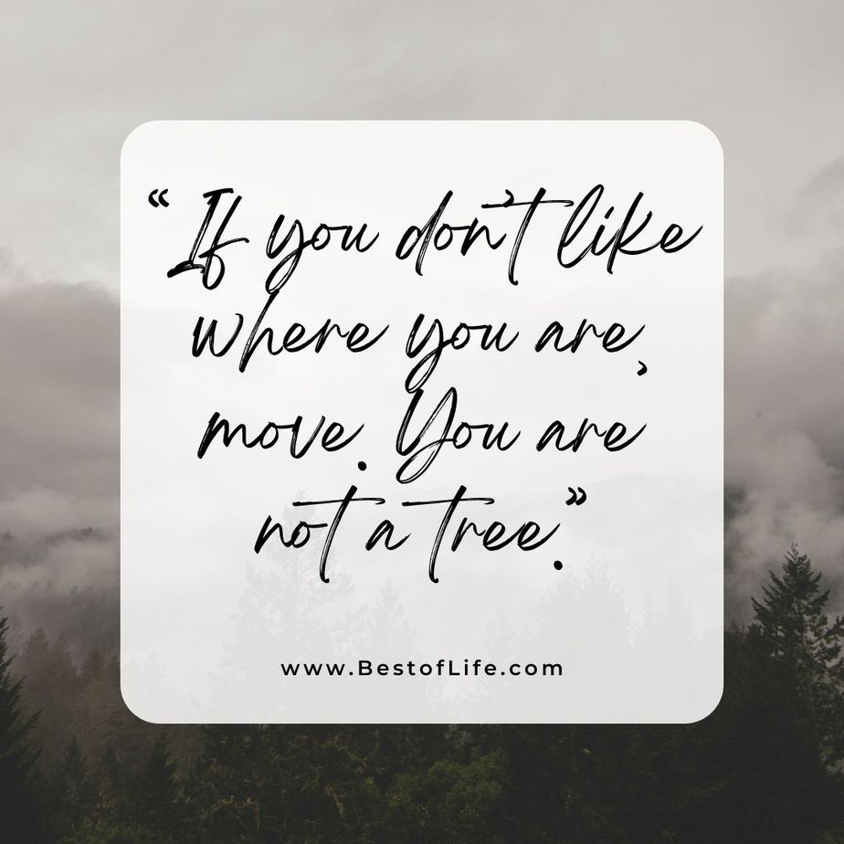Quotes About Change for the Better "If you don't like where you are, move. You are not a tree."