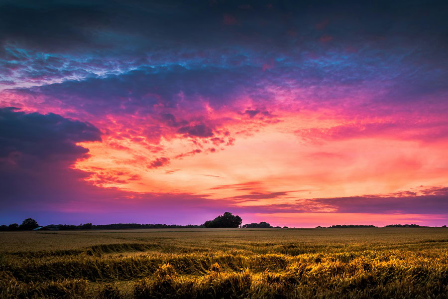 Best Places to Watch the Sunset in San Diego a Purple, Red and Orange Sky Over a Field of Grass