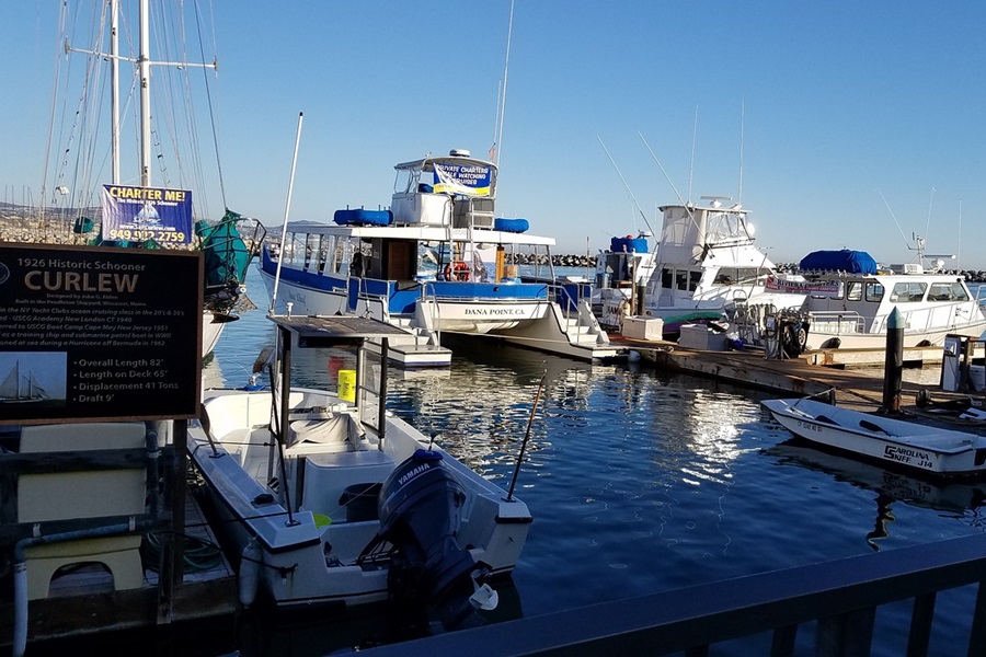 Free Things to Do in Orange County with Kids View of Dana Point Harbor with Boats in the Water