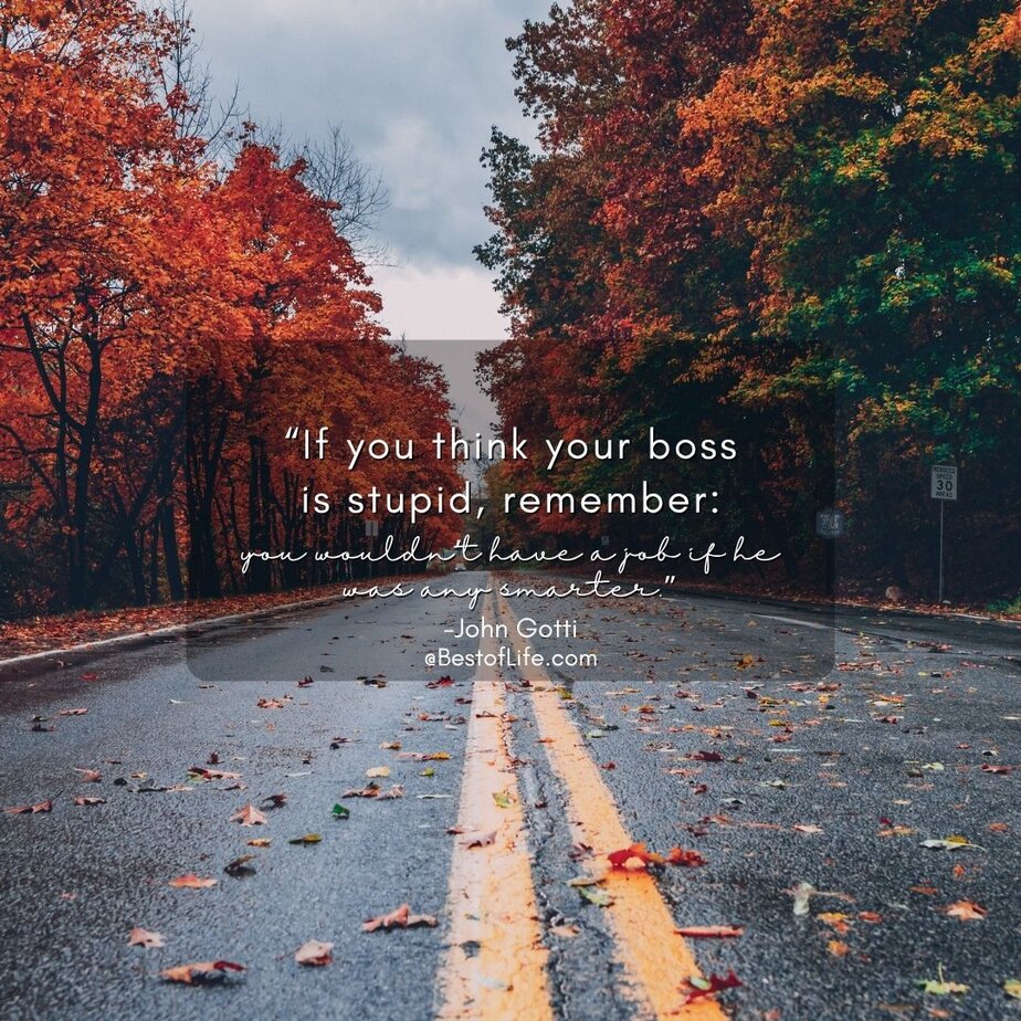 Funny Smartass Quotes About Work “If you think your boss is stupid, remember: you wouldn’t have a job if he was any smarter.” -John Gotti