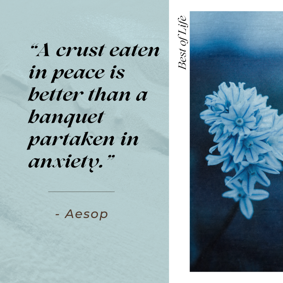 Motivational Quotes for People Who Struggle with Anxiety “A crust eaten in peace is better than a banquet partaken in anxiety.” -Aesop