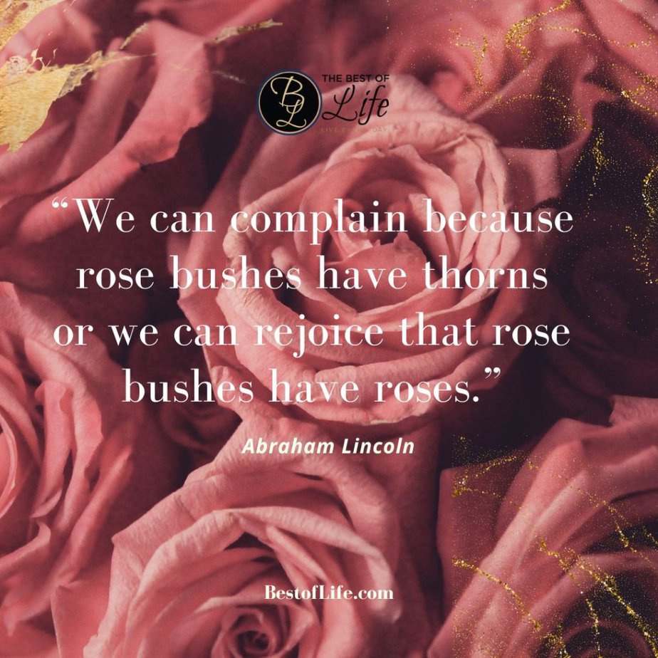 Quotes About Surrounding Yourself with Happiness "We can complain because rose bushes have thorns or we can rejoice that rose bushes have roses." -Abraham Lincoln