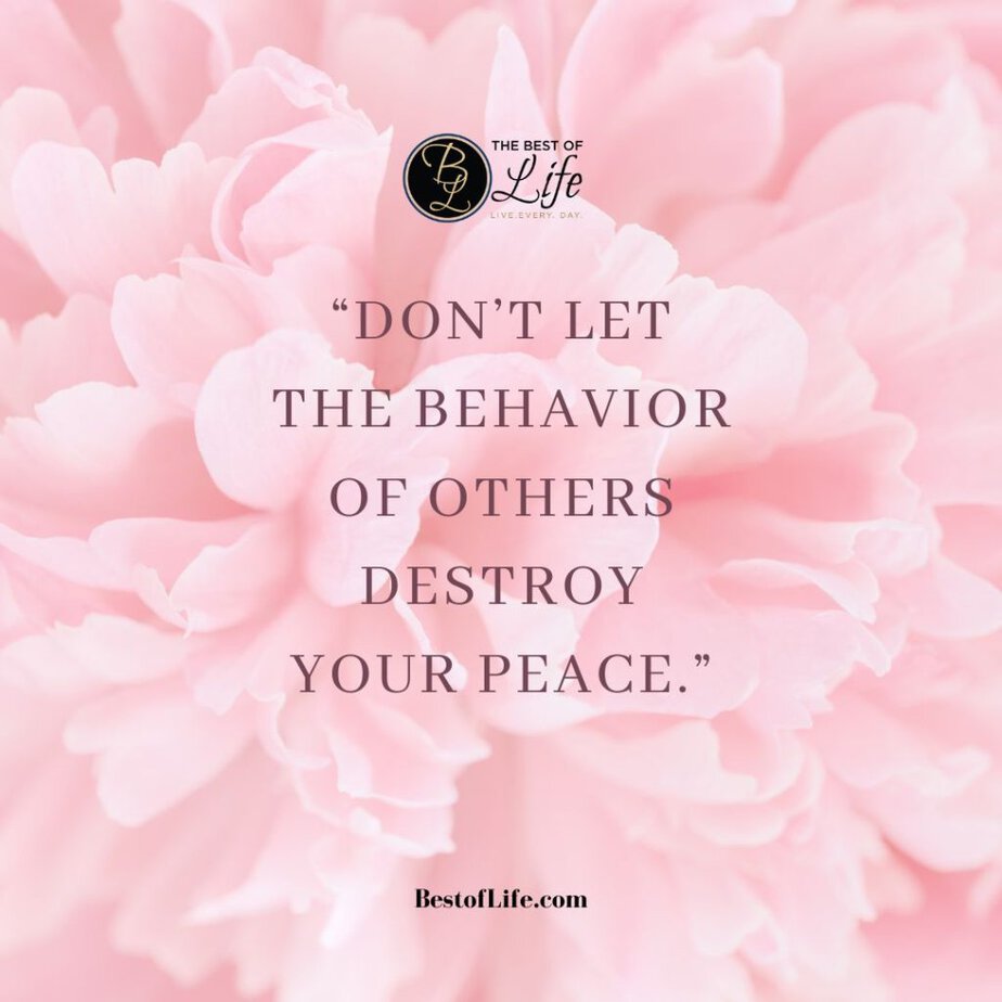 Quotes About Surrounding Yourself with Happiness "Don't let the behavior of others destroy your peace."