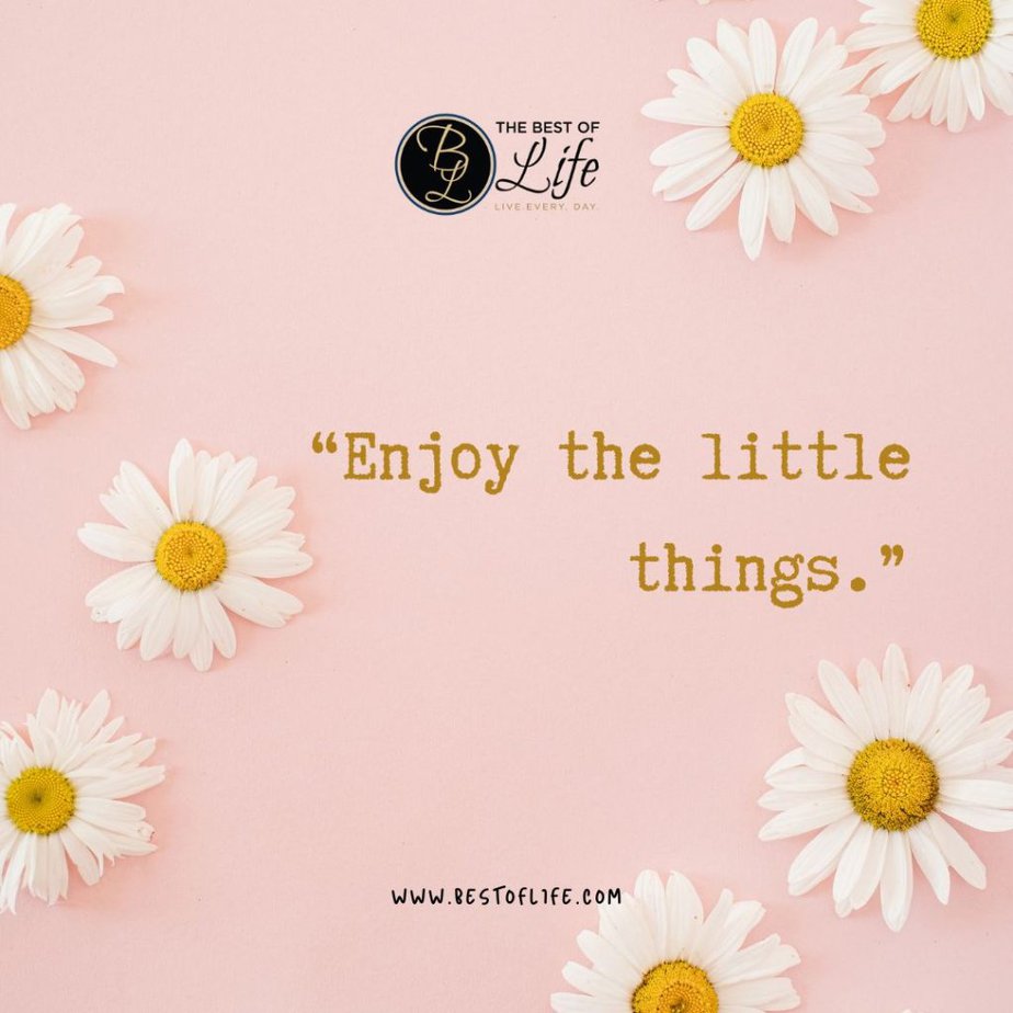 Short Inspirational Quotes "Enjoy the little things."