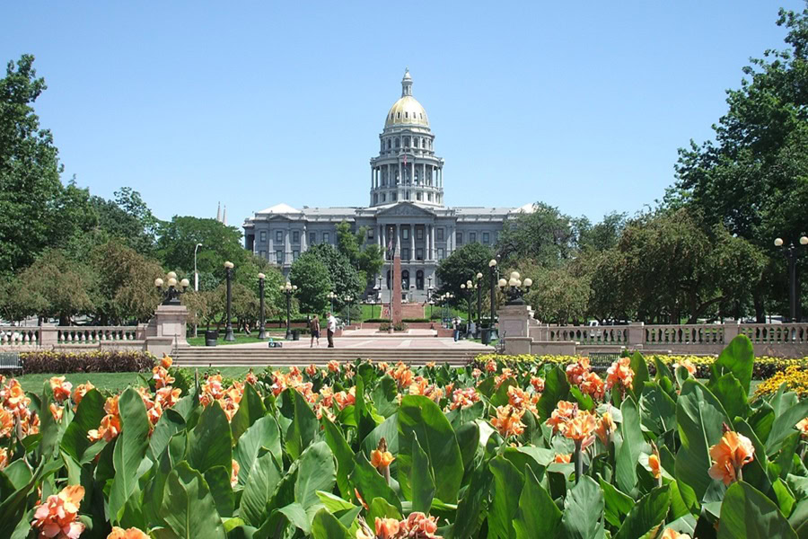 Free Things to do in Denver for Kids View of Flowers in Front of Denver City Hall