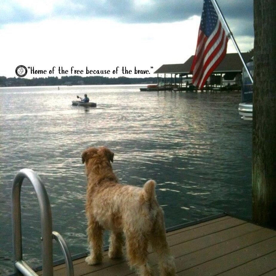 4th of July Instagram Captions “Home of the free because of the brave.”