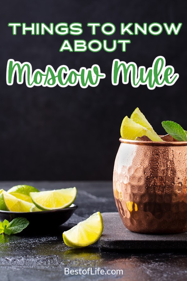 Some of the best things to know about Moscow Mules tell you more about the cocktail making process. Sometimes the best ideas are out of desperation. Cocktail Recipes | Cocktails with Beer | Beer Cocktails | Moscow Mule History | Moscow Mule Tips | Moscow Mule Recipes #moscowmule #cocktails