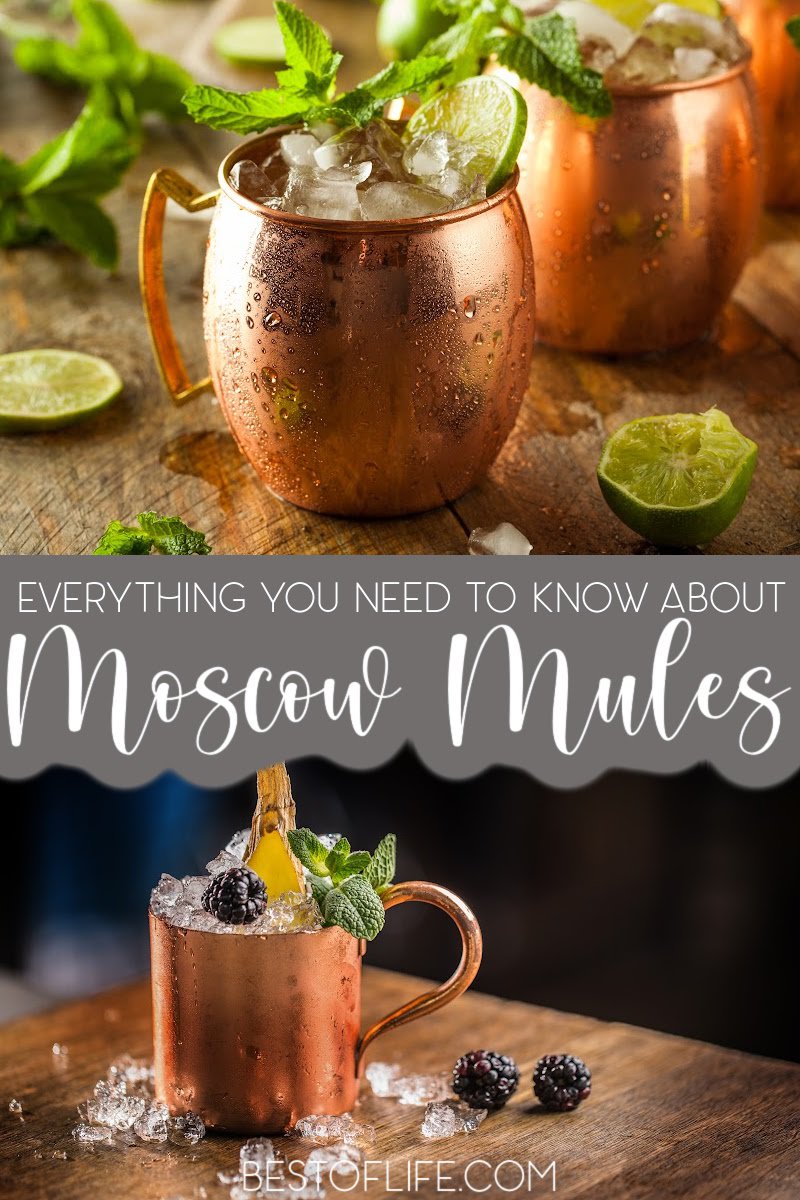 Some of the best things to know about Moscow Mules tell you more about the cocktail making process. Sometimes the best ideas are out of desperation. Cocktail Recipes | Cocktails with Beer | Beer Cocktails | Moscow Mule History | Moscow Mule Tips | Moscow Mule Recipes #moscowmule #cocktails
