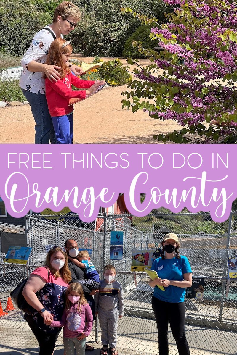 With so many of the best free things to do in Orange County, you can save money without losing out on the fun as you explore one of the most popular areas in California. What to do in Orange County | Orange County Travel Tips | How to Save Money During Travel | Summer Travel Tips | California Activities | Free Things to do in California | Orange County Summer Ideas | Summer in Orange County #orangecounty #traveltips via @thebestoflife