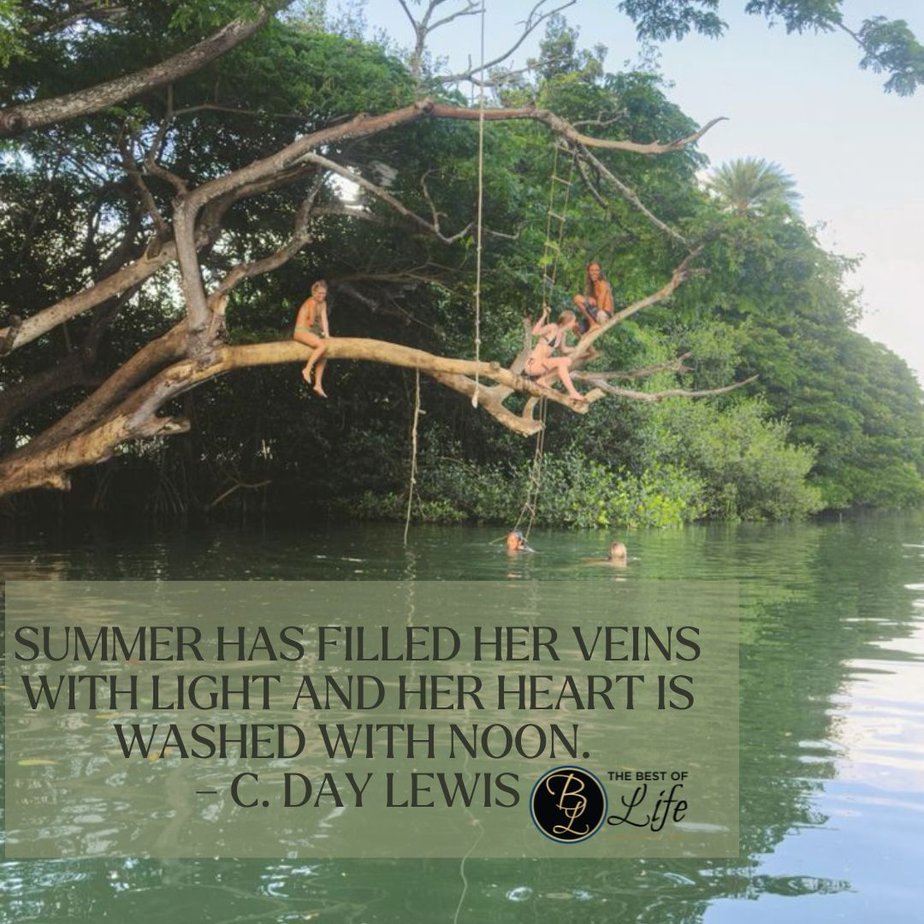 Happy Summer Fun Quotes Summer has filled her veins with light and her heart is washed with noon. - C. Day Lewis