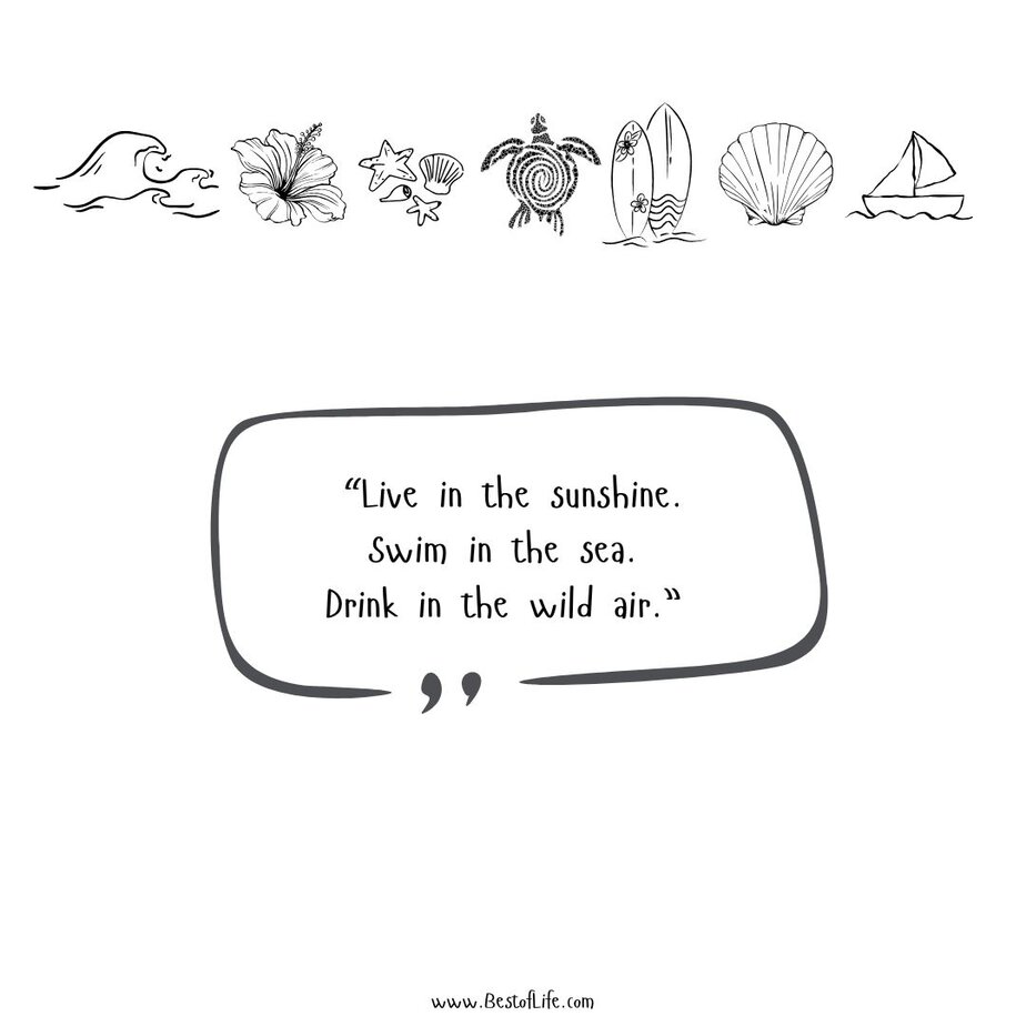 Best Summer Captions for Instagram “Live in the sunshine. Swim in the sea. Drink in the wild air.”