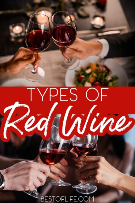 Types of Red Wine: A Guide and Tips for Everyone