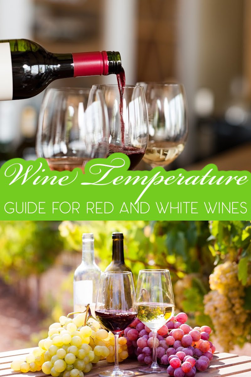 Make sure you get the best flavors intended with every pour by using a wine temperature guide for both red and white wines. Tips for White Wine | Tips for Red Wine | Temperature Tips for Wine | How to Serve Wine | Tips for Merlot | Tips for Chardonnay #wine #tips via @thebestoflife