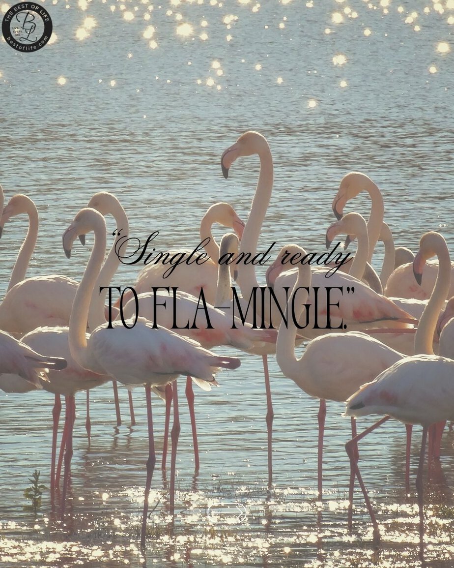 Summer Captions for Instagram &ldquo;Single and ready to fla-mingle.&rdquo;