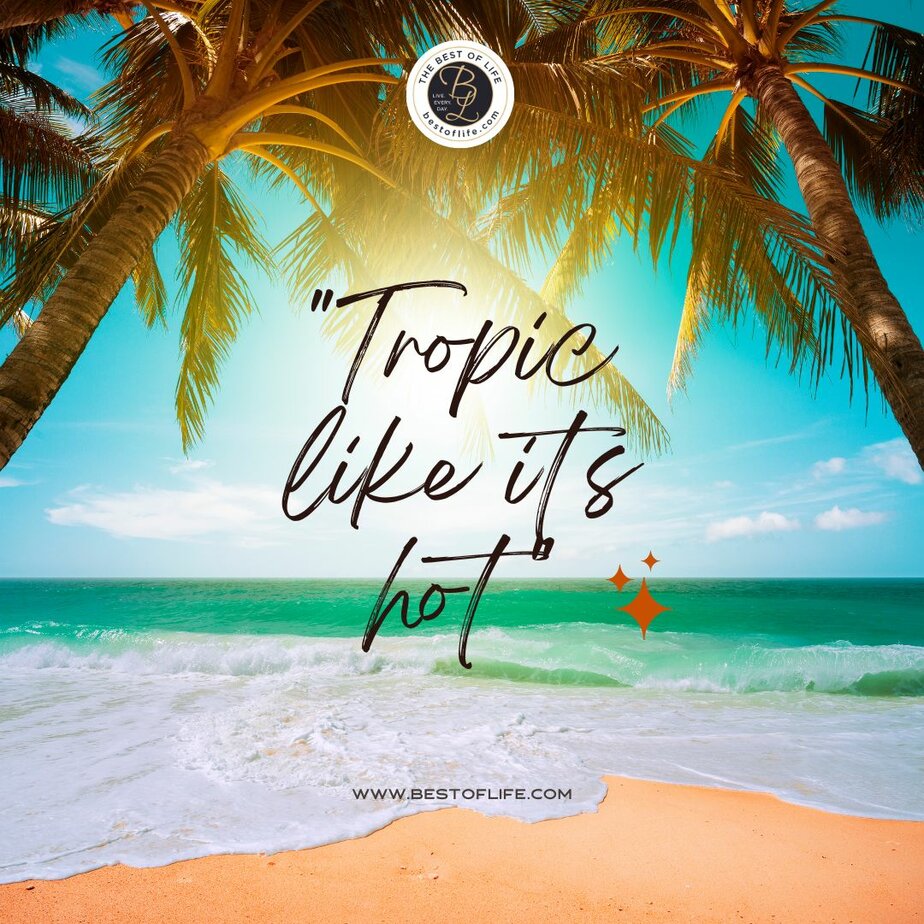 Summer Captions for Instagram “Tropic like it’s hot.”