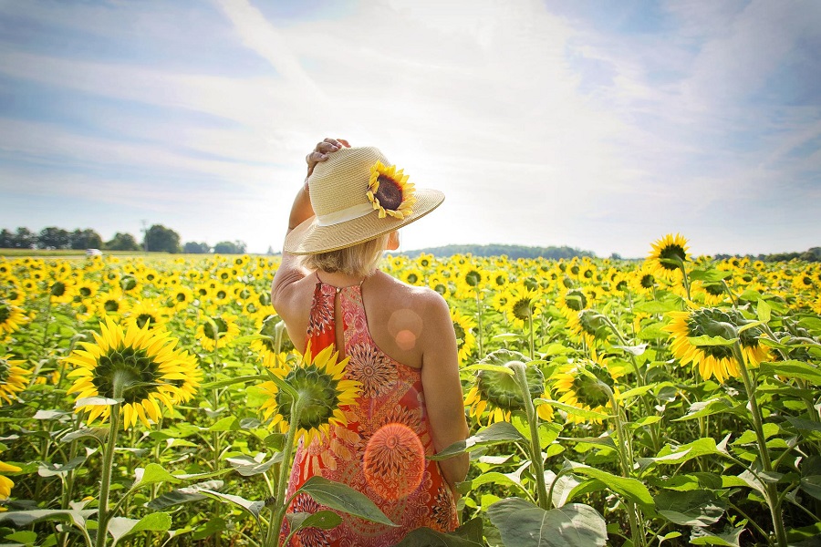 Summer Captions for Instagram Woman Sitting in a Field of Sunflowers with her Back Turned Toward the Camera