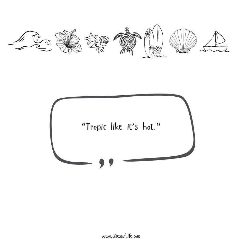 Best Summer Captions for Instagram “Tropic like it’s hot.”