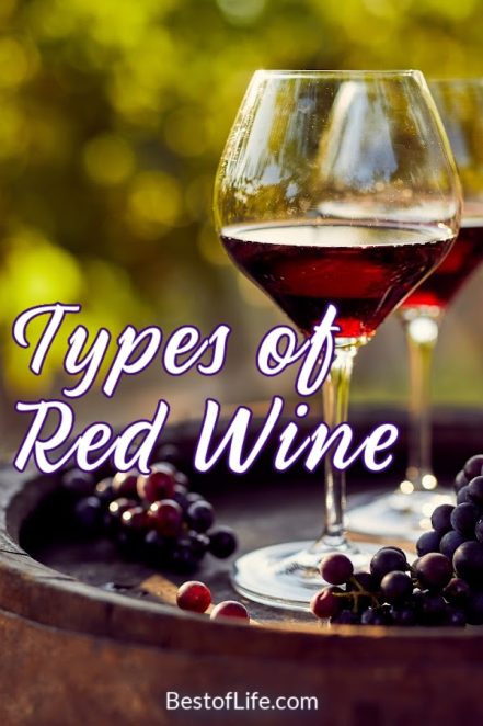 Types of Red Wine: A Guide and Tips for Everyone