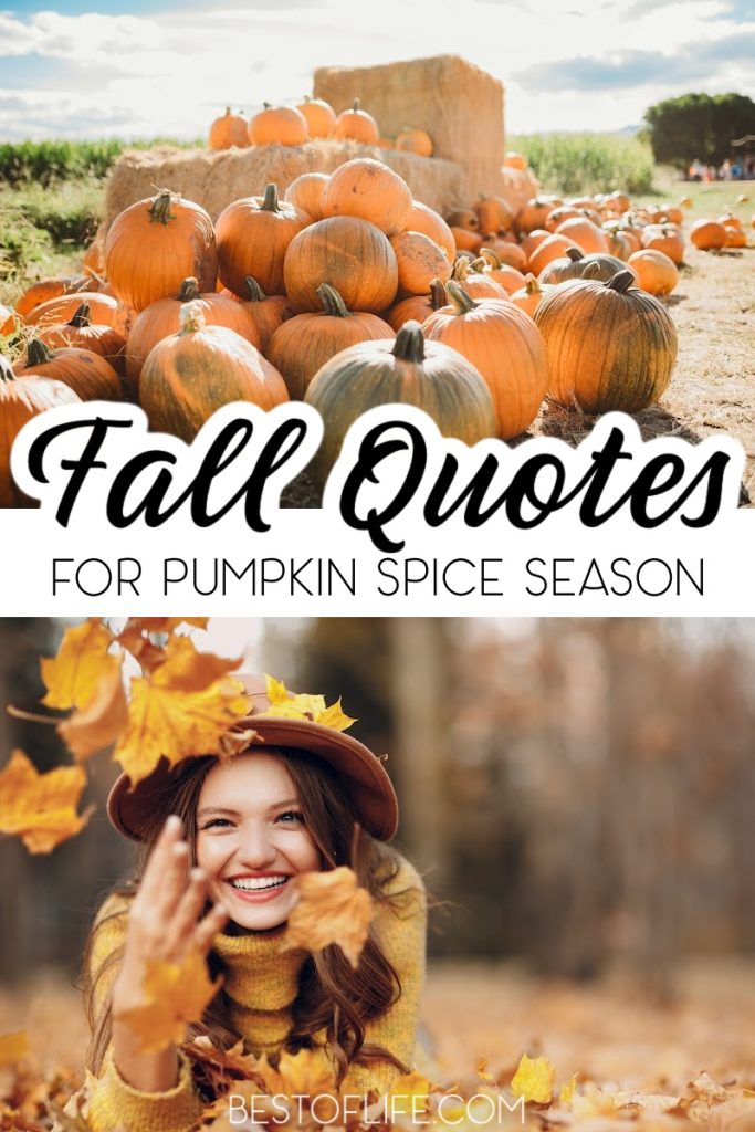 The best fall quotes for pumpkin spice season are perfect for helping us get in the fall mindset to enjoy every moment more thoroughly. Quotes About Fall | Quotes for Fall | Autumn Quotes | Quotes for Autumn | Quotes About Pumpkin Spice | Pumpkin Spice Quotes | Quotes for October | October Quotes | November Quotes #pumpkinspice #quotes