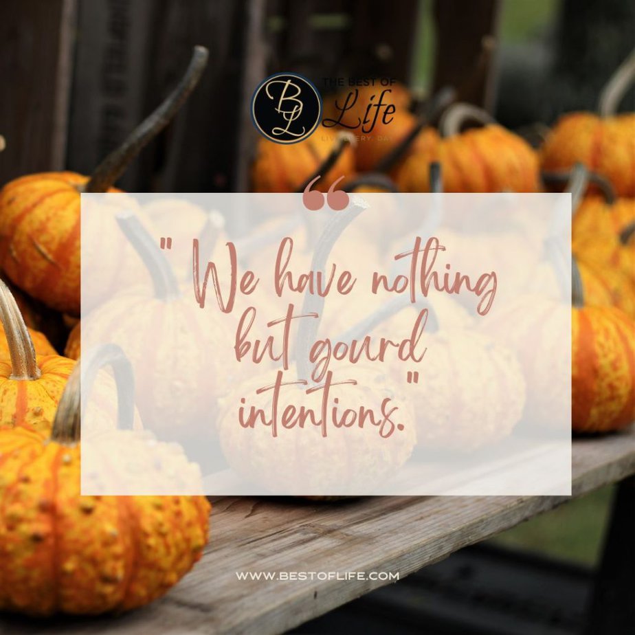 Fall Quotes for Pumpkin Spice Season “We have nothing but gourd intentions.”