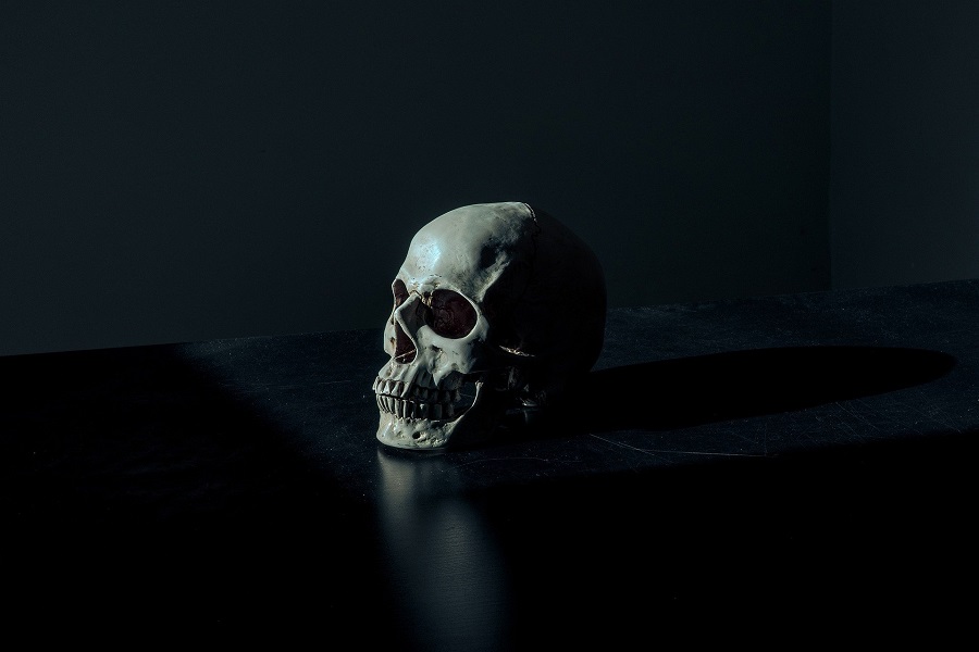 DIY Halloween Decorations A Skeleton Skull Sitting on a Black Top Against a Black Backdrop